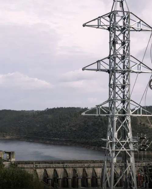 DRI_Results.16.9_clean