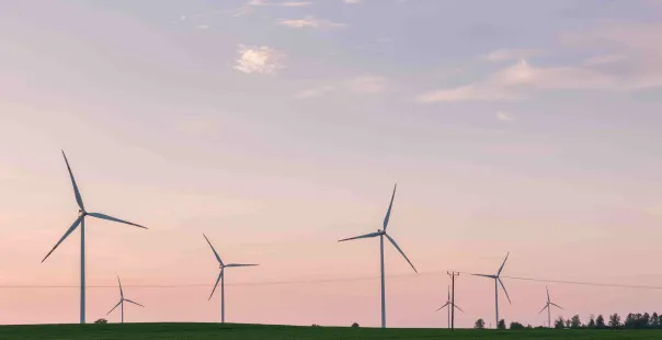 Budzyn Wind Farm in Poland