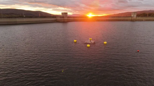 Tension Buoy Fred Olsen 1848