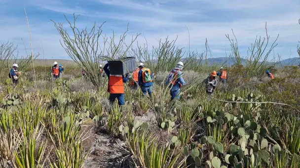 Rescue and relocation at Los Canones Wind