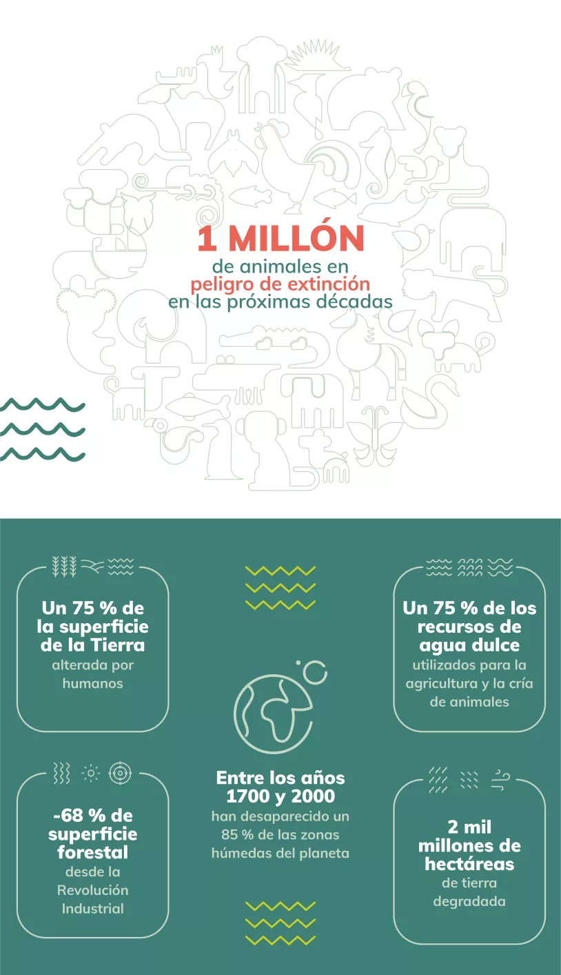 Biodiversidade_Infografico_ES.jpg