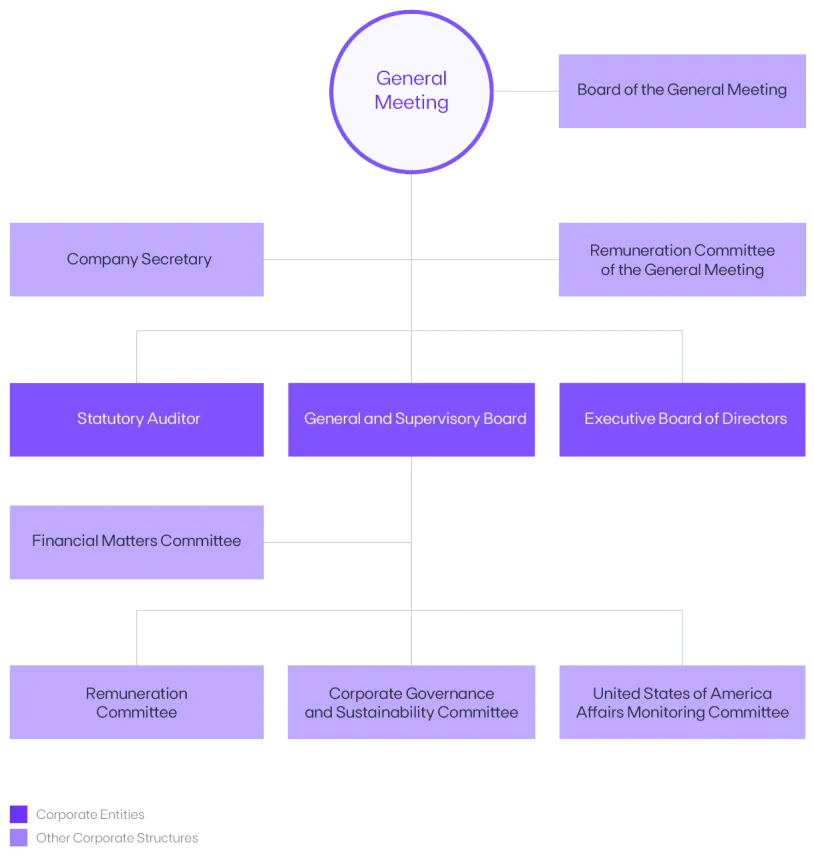 Model And Governing Bodies