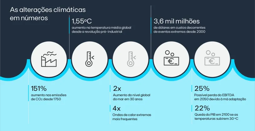 infografia adaptation report pt