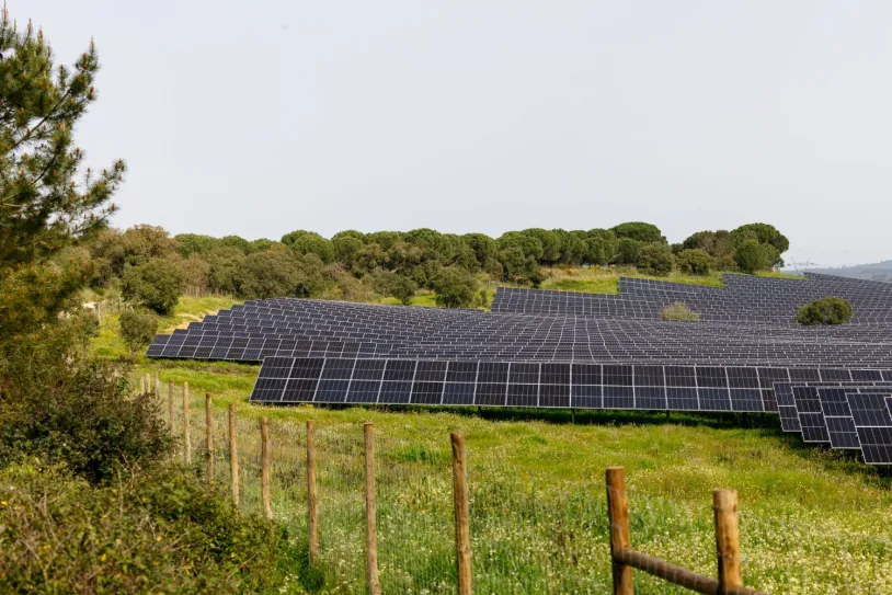 Parque Solar Cerca 
