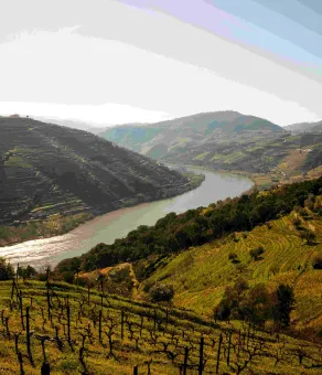 Image of the river Douro Valley in Portugal