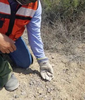 EDPR NA preserving wildlife in Mexico