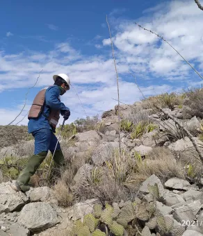 Environmental team protecting the environment in Mexico