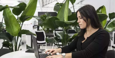 Employee working on a computer sitting at the desk in the office with plants as background
