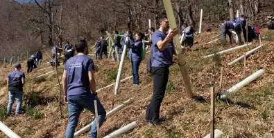 Plantaci%C3%B3n%20%C3%A1rboles%20organizada%20Fundaci%C3%B3n%20EDP%20en%20Teverga_0.jpg