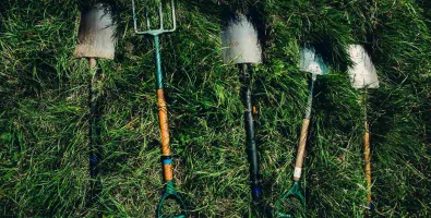 dylan-nolte-dUsmF-F-bJg-unsplash_11zon.jpg