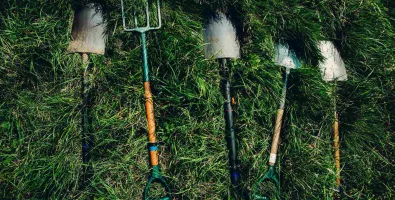 dylan-nolte-dUsmF-F-bJg-unsplash_11zon.jpg dylan-nolte-dUsmF-F-bJg-unsplash_11zon.jpg