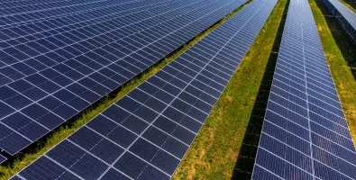 Albina solar farm