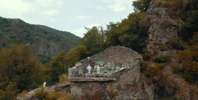 Miel de Muniellos, proyecto apoyado por ENTAMA en 2024