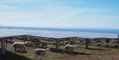 Monti di Eboli in Italy 