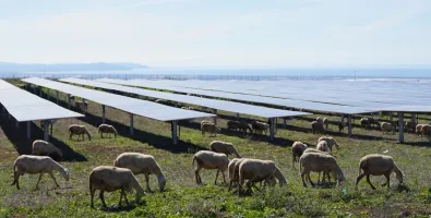 Monti di Eboli Agri PV Plant