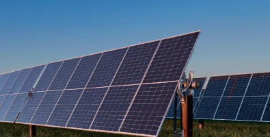 Cypress Knee Solar