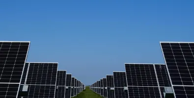 Cypress Knee Solar