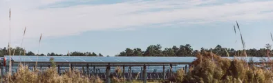 sc_solarpark_2018-52-2.jpg