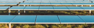 harvest_solar_banner_web.jpg