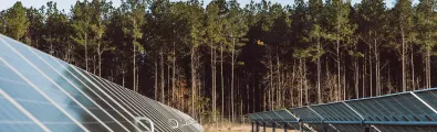 sc_solarpark_2018-141-1.jpg