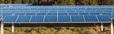 timberroad_solar-banner_web.jpg