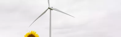 wind_turbine_losmirasoles01.jpg