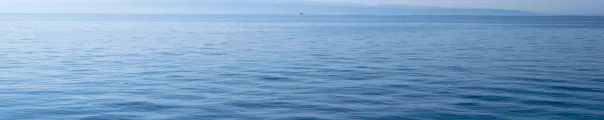 sea web