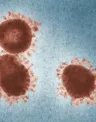Coronavirus_1.jpg