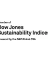 dow%20jones_awards%20%26%20recognitions.png