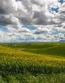 wind-farm-1209784_1280.jpg