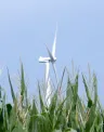 twin groves wind farm