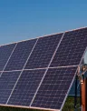 Cypress Knee Solar