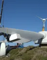 Pena Suar