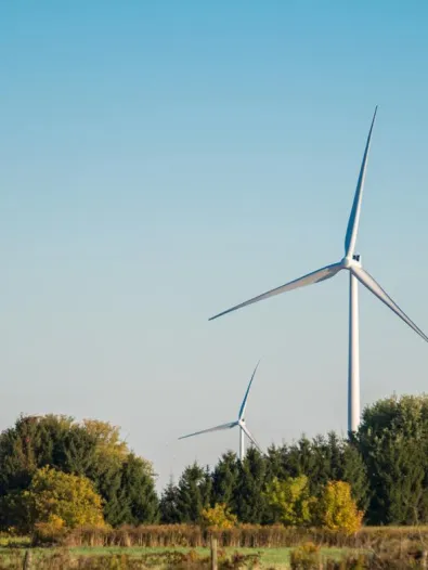 south brand wind farm