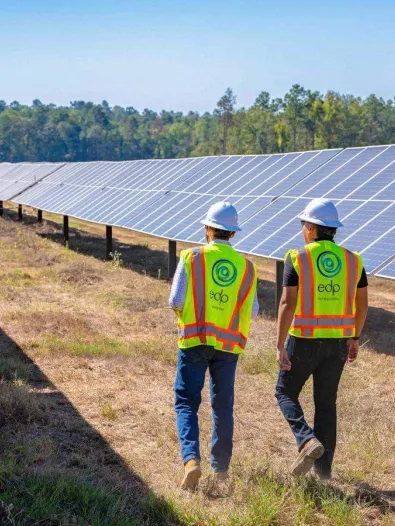 azalea springs solar with technicians