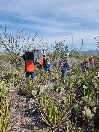 Rescue and relocation at Los Canones Wind